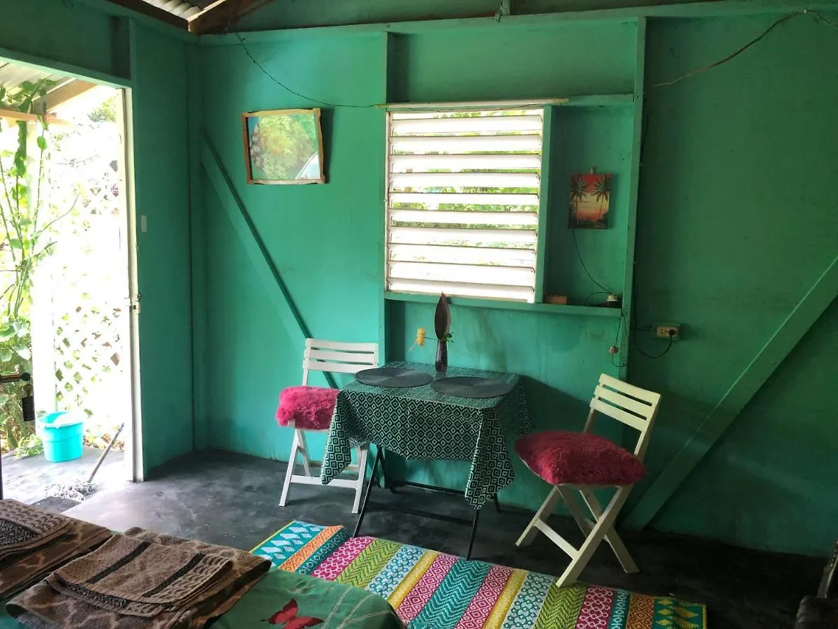 شقة Easymans' Winifred Beach Cottage بورت أنطونيو