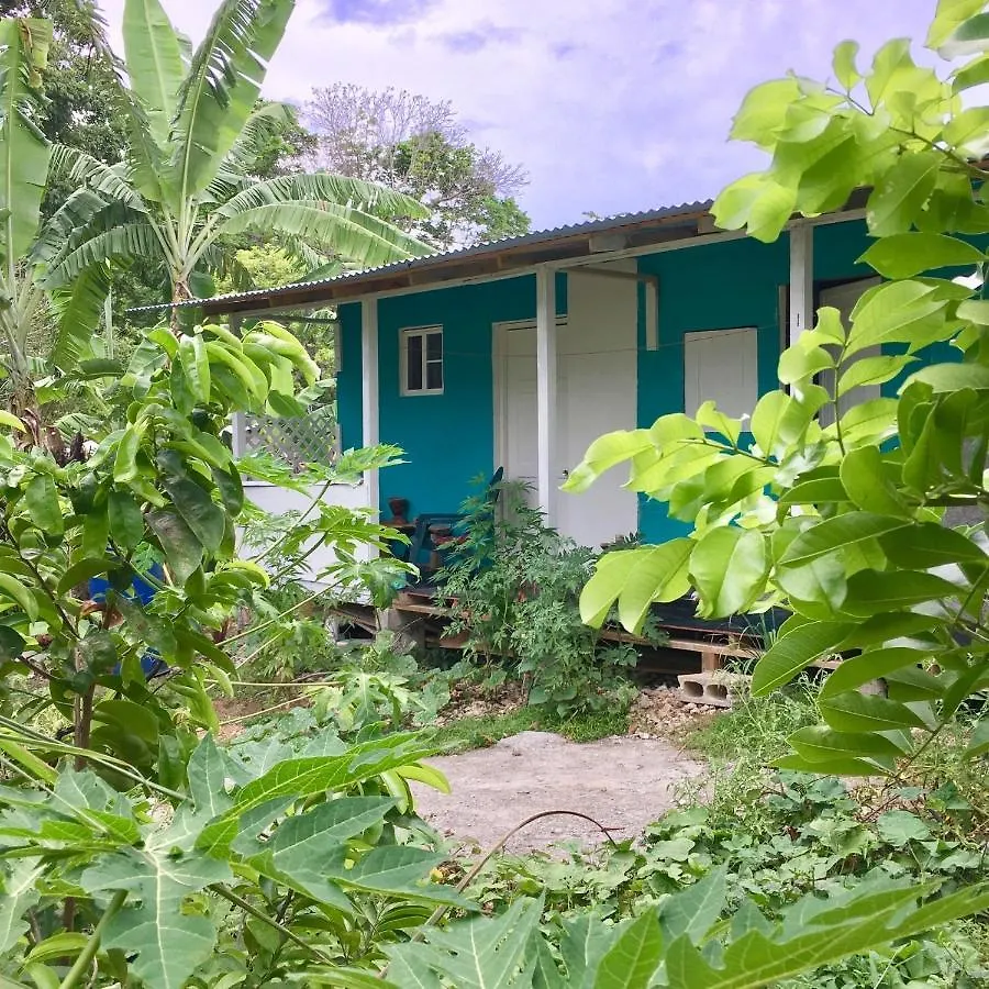 Easymans' Winifred Beach Cottage بورت أنطونيو شقة